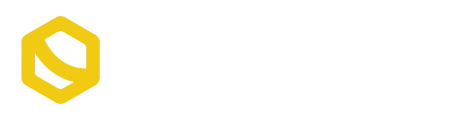 Leisure9 logo